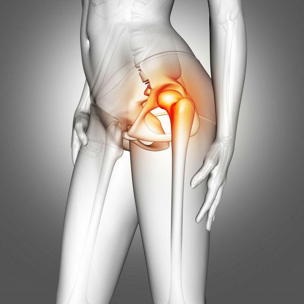 عکس از ۳ مفصل ران و زانو و مچ پا|عکس از مفاصل بدن انسان|عکس مفصل